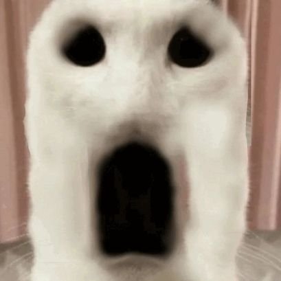 VintProtoPriv's profile picture. either horny, sad or personal | don't share anything on here | fagg0t