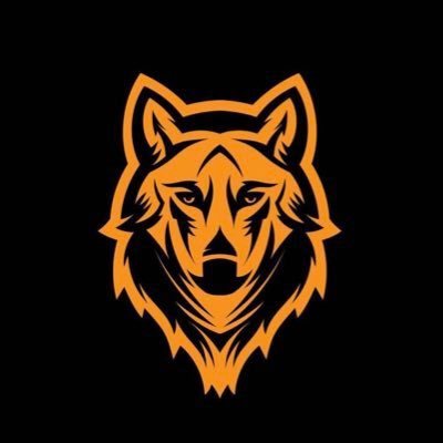 Paolo97137762's profile picture. Parole l'or