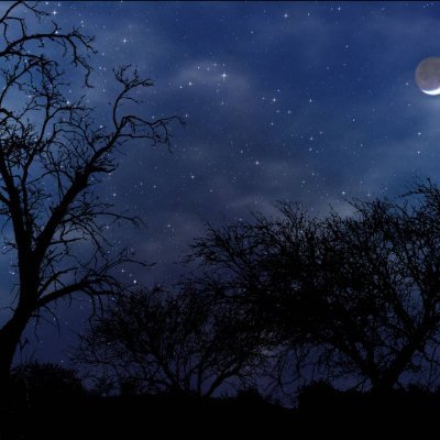 NightskyLHQ's profile picture. 