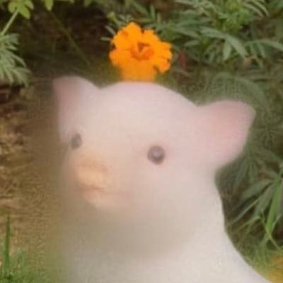 unclevanya69's profile picture. future decision maker