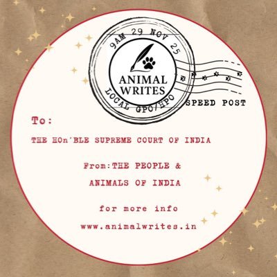 NeetaSh31043935's profile picture. 