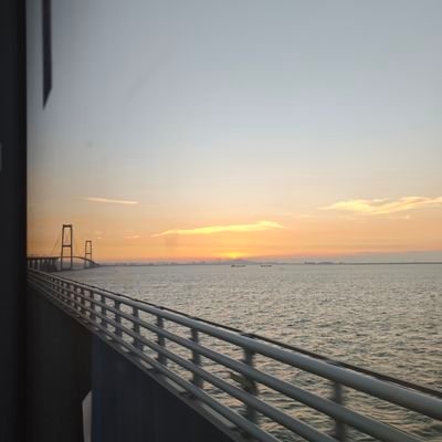 JadeSea923's profile picture. 