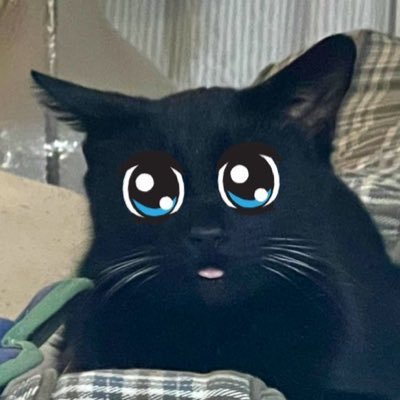 lookoutitsbbear's profile picture. world’s greatest noise expert