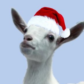 saanvinspires's profile picture. lover of all things sapphic | fanpage | #SaveNCISHawaii