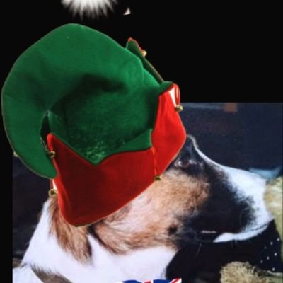 AndreaJackGoro's profile picture. Yorkie lass
 Beach boys, David Bowie, The kinks, Rod Stewart, Human League, Coldplay Dogs, Birds, soaps, music, travelling, art, photography