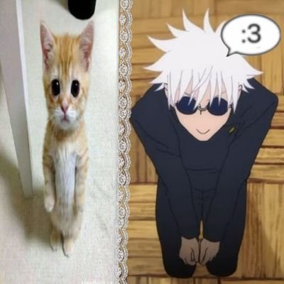 Satoru_Myhusban's profile picture. Satoru y Quackity𖹭 || linkin park || Limp Bizkit || obsession with S and Q