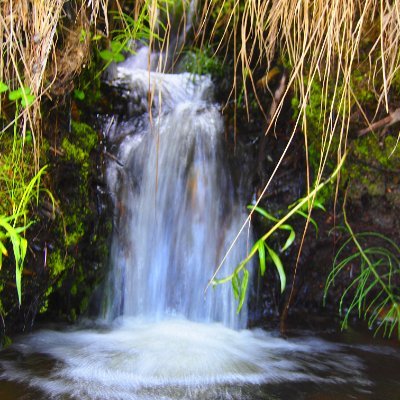 osacee0000's profile picture. Female, conservative, 73yoa.  Love God, family and country.