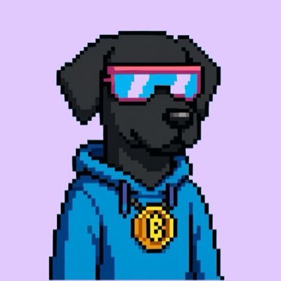 Cointrack3r's profile picture. Signals that matter. Trends before they trend.