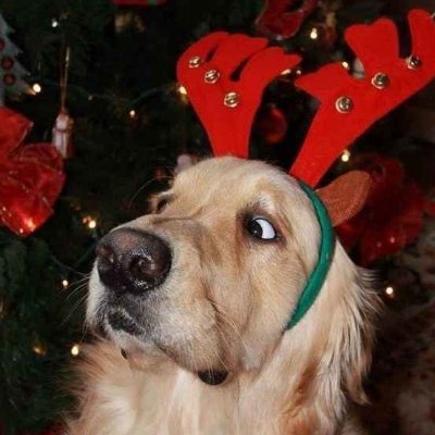 mono_anim's profile picture. im down 3 ber rn. im feeling like gomer simpson