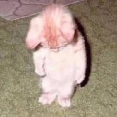 Alone_BadMonkey's profile picture. コーヒーって苦いでしょ 人生の味よね