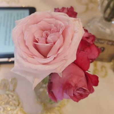 andineverwill's profile picture. 