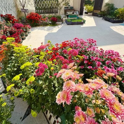 Fwaglj's profile picture. 可愛い雑貨に囲まれた日常が、一番の癒し🧸旅行が好きで、スウェーデンやアメリカ、スイスなど、たくさんの国を旅したことがあります。