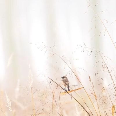 ipim80961's profile picture. 