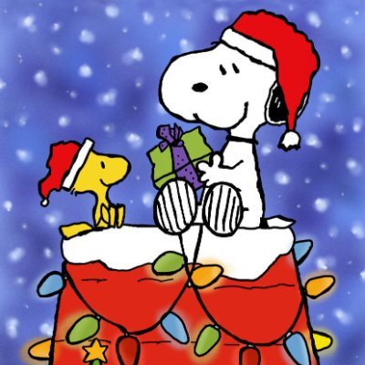 pbeck91's profile picture. 