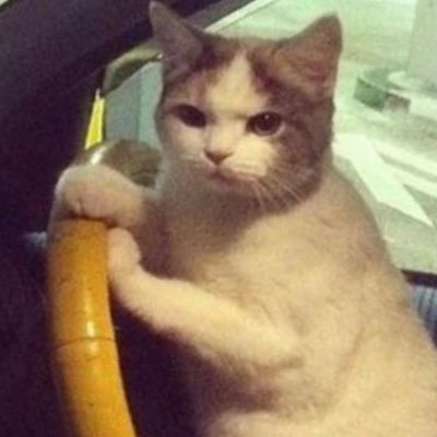 BasBas131313's profile picture. Meeting at times, parting inevitable.🍃