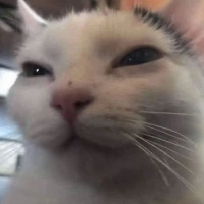 alienumbersix's profile picture. 