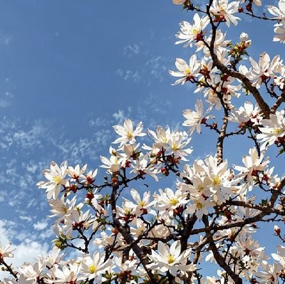 Joy58478352's profile picture. Results-driven Engineer with a decade of expertise in EV & Engine Division, passionate about developing cutting-edge solutions that transform the Industry👨‍🔧