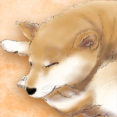 px3rw1's profile picture. 