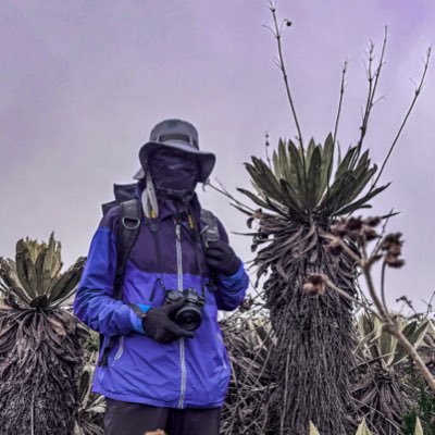 Benjistudioo's profile picture. 