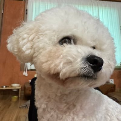 kyoleedesu's profile picture. 