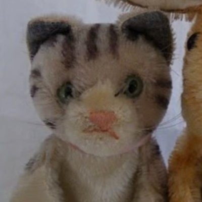 2D Silly (VicePresident) Profile