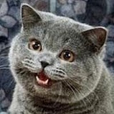 MiguelL17234's profile picture. 