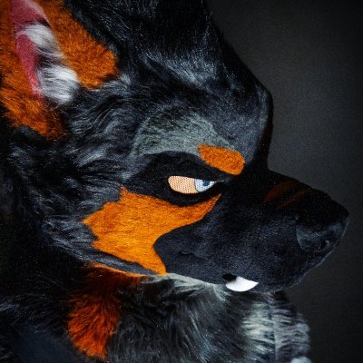 AK9_GS's profile picture. A dog with fierce eyes 9⃣  |  Kept by @Canyne_Khai  |  🪡🧵@kigurumikagetsu