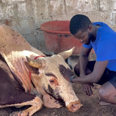 omziio01's profile picture. ➤ I'm working to make myself a bio, come back later عمر بن الخطاب Wildlife Lover 🌴Dean Schneider