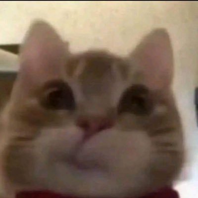 mariarceu's profile picture. 