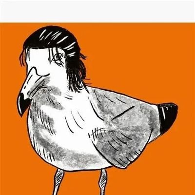 WarDevilsWeapon's profile picture. ✨🌃 💫