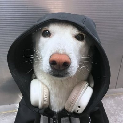 kwevox's profile picture. 