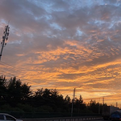 Freedomgo414113's profile picture. 