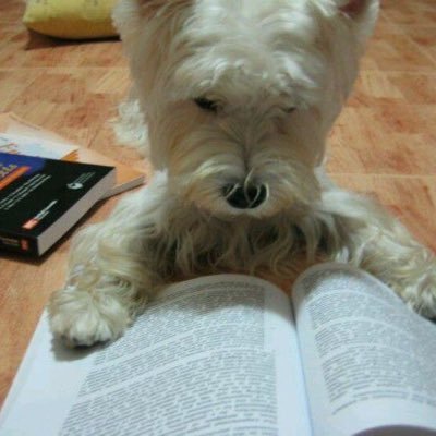 mong_shua's profile picture. 