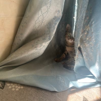 djwtdtwj's profile picture. 