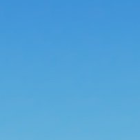 TayWillams10535's profile picture. Hi i'm devon im 19