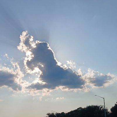 anonamn0's profile picture. I love humanity