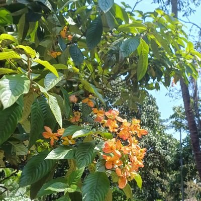 igdeactivator's profile picture. 22 | (𝘴𝘩𝘦/𝘩𝘦𝘳) | i get rage baited on a daily basis. | (jjk daughter... whatever that means to you.)