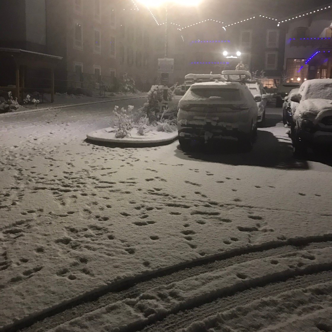 Leonardbfvc's profile picture. 