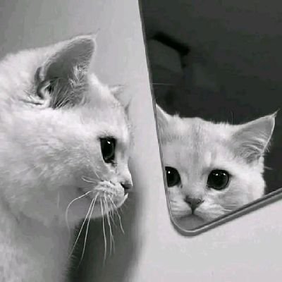 T_Julliann's profile picture. towards infinity and beyond