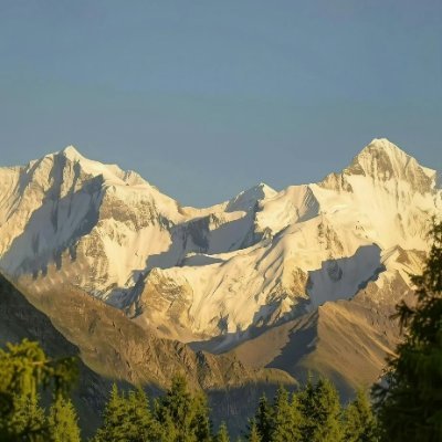 Wisy1996's profile picture. 撸空投