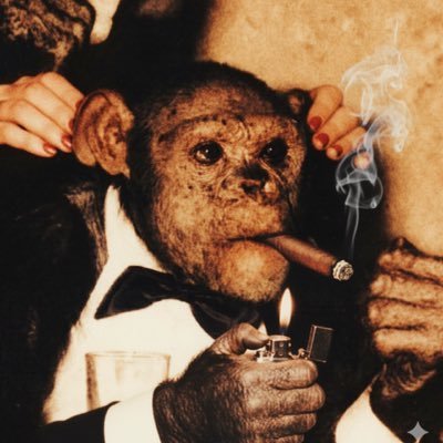 PumpMadeKev's profile picture. Memecoin Connoisseur