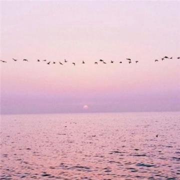 ubaidntm's profile picture. Sketched landscapes vast horizon—space soul.