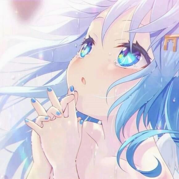 VivekKu30839937's profile picture. My cat’s plotting something, I can tell