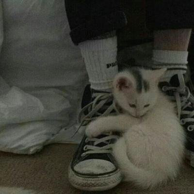 Sachinchandan1's profile picture. Picnic basket pack list