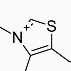 1989kgk's profile picture. ilmu pisah, hayat, dan bioteknologi | mengembara dalam رحم Tuhan ta3ālā