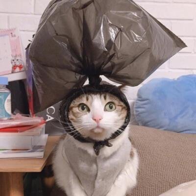 pabitrabarman38's profile picture. Craving pizza at 3am.