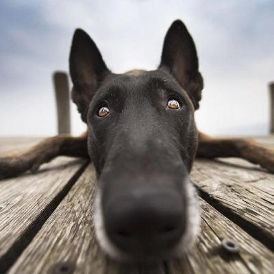 Ashishs1802's profile picture. Reflected on karma cycles—wheels whirling wise.