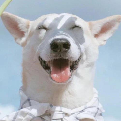 zaki22101's profile picture. Lost phone panic found in pocket