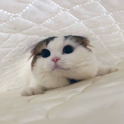 yuj3983's profile picture. 釣り、ゲーム