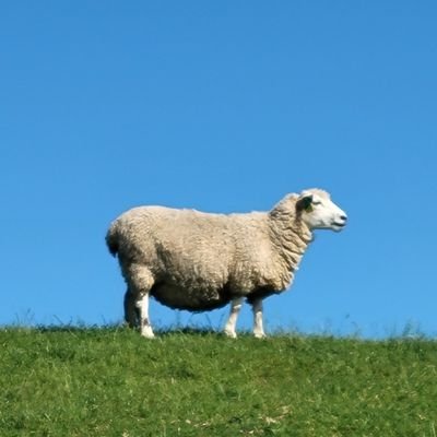 brainrotcomedy's profile picture. made ya look 🙈

@hedera projects I like:
@gib_plz meme RWA
@DOVUofficial
@gilmore_estates